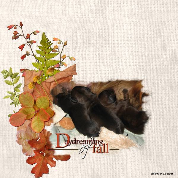 Les BB d'octobre ......