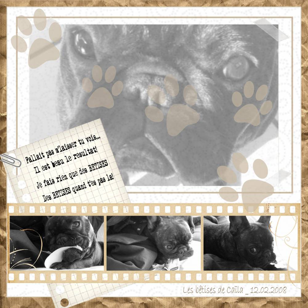 Les bêtises de Caïla