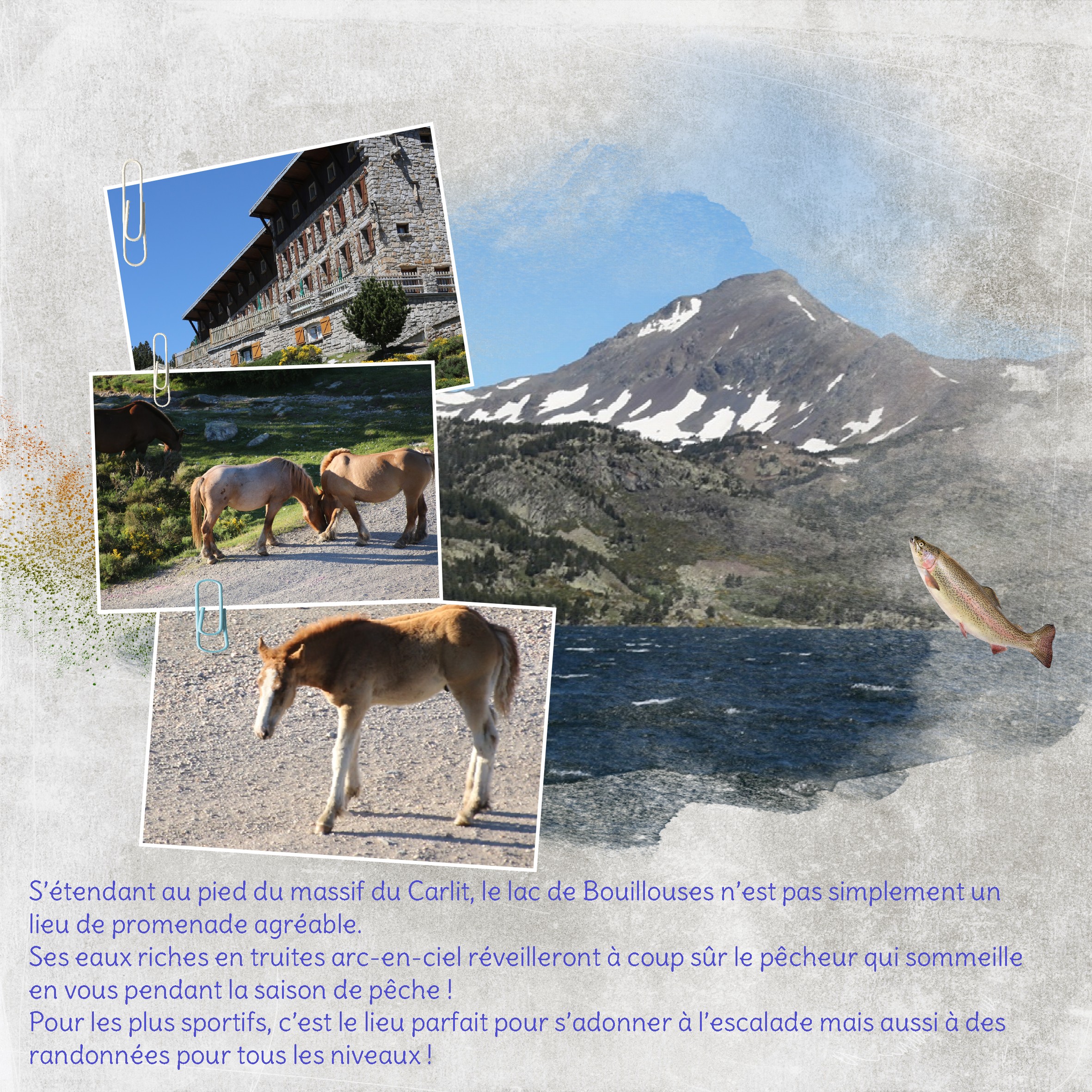 les bouilliouses.jpg