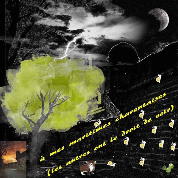 les cagouilles à l'assaut des remparts...