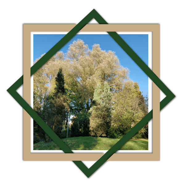 Les carres impossibles