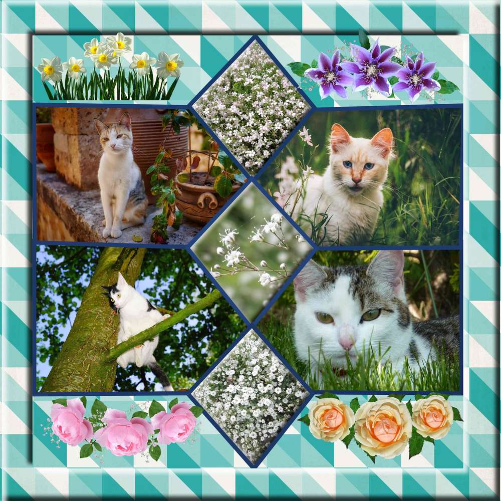 Les chats et la nature