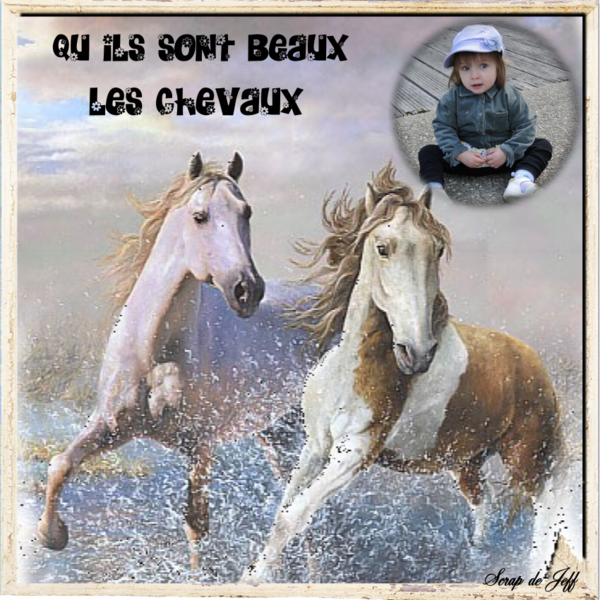 Les chevaux. et notre petit-fille.