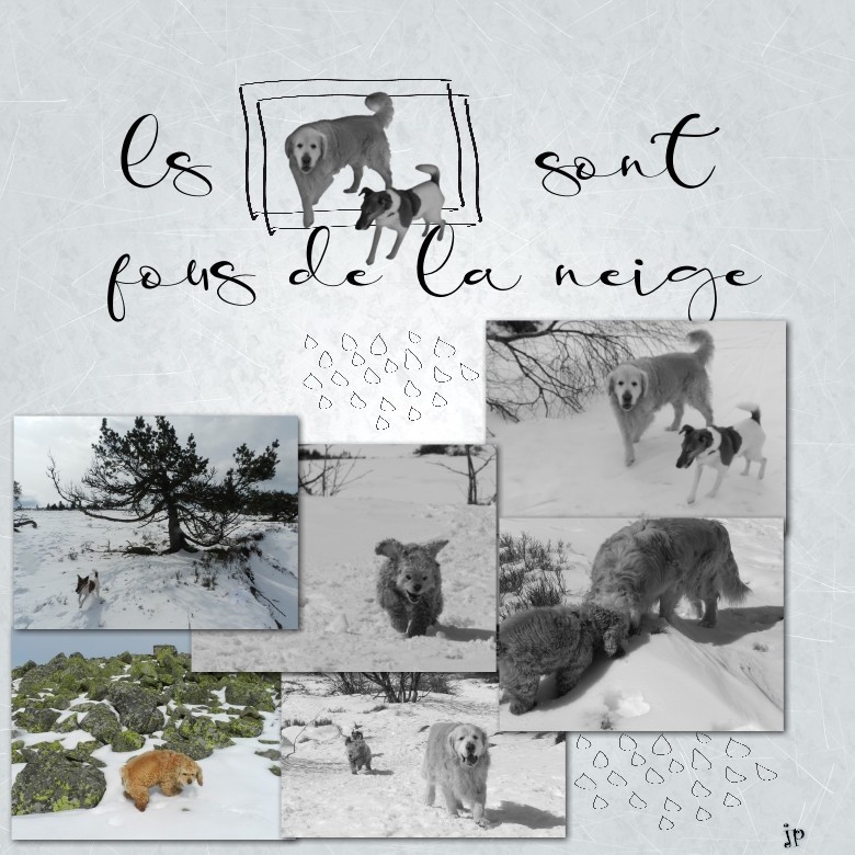 les chiens dans la neige.jpg