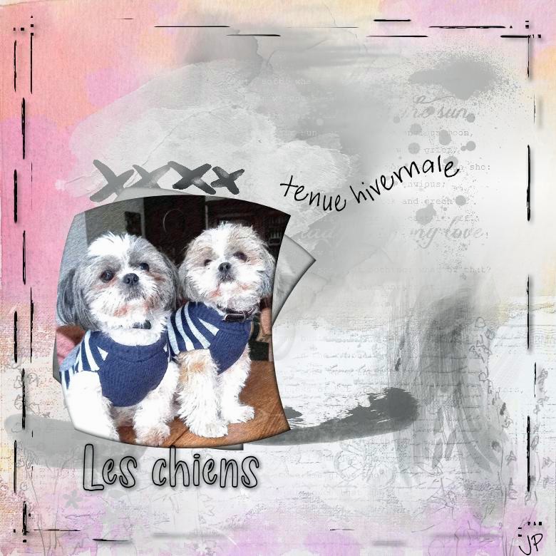 les chiens.jpg