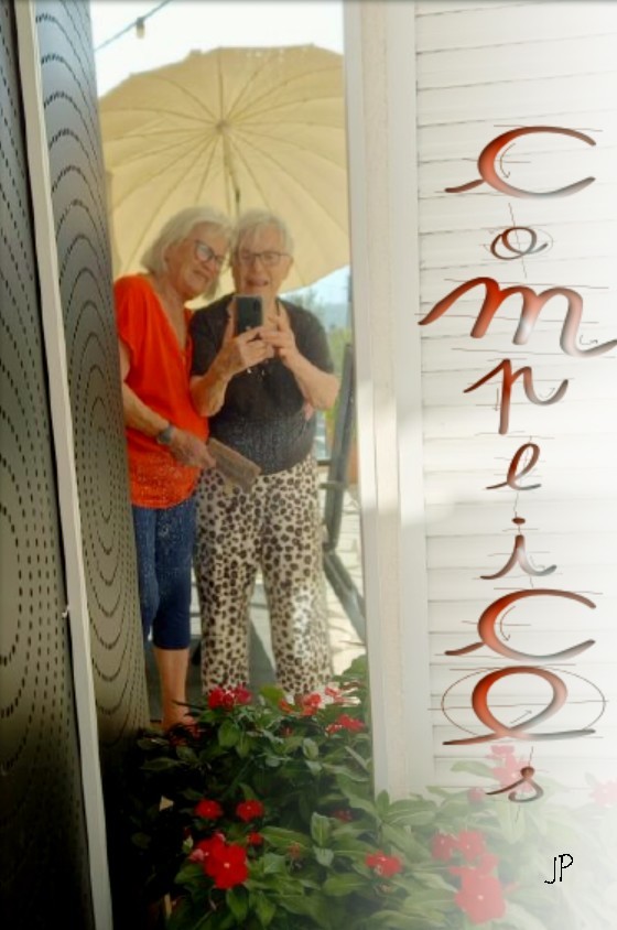 les complices de vintage scrapboter