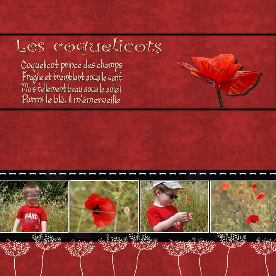 Les coquelicots