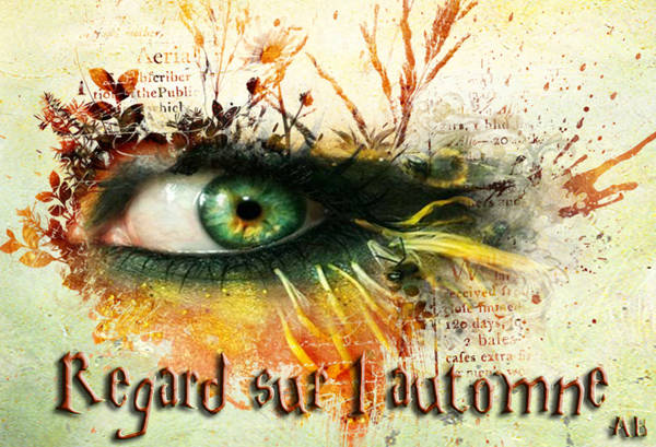 Les couleurs de l automne...