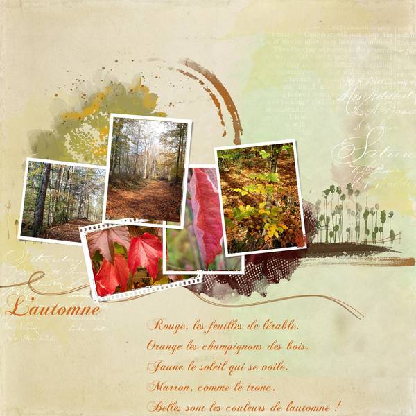 Les couleurs de l'automne...