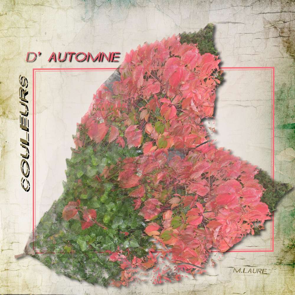 Les couleurs de l'automne