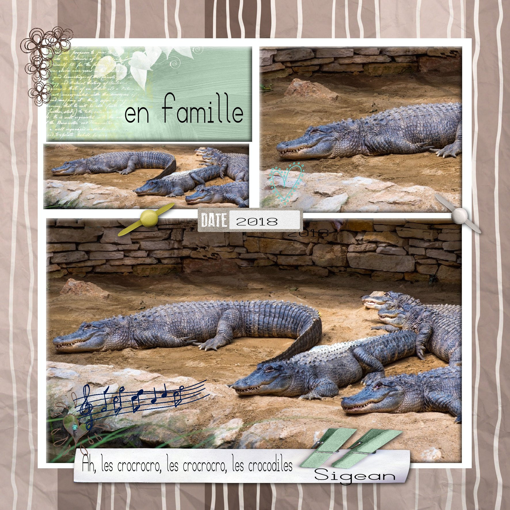 les croco cros.jpg