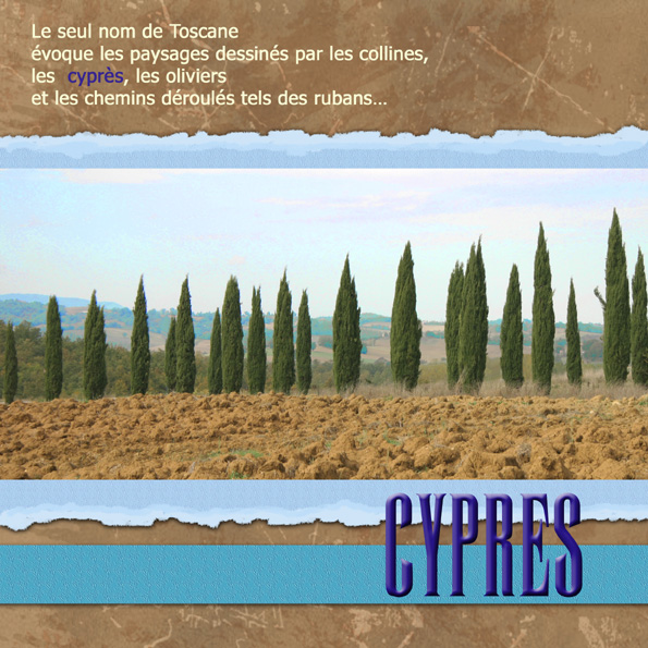 Les cyprès