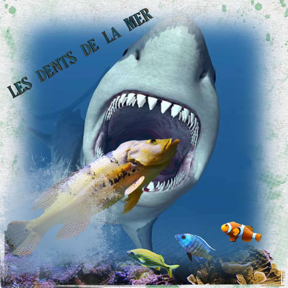 les dents de mer