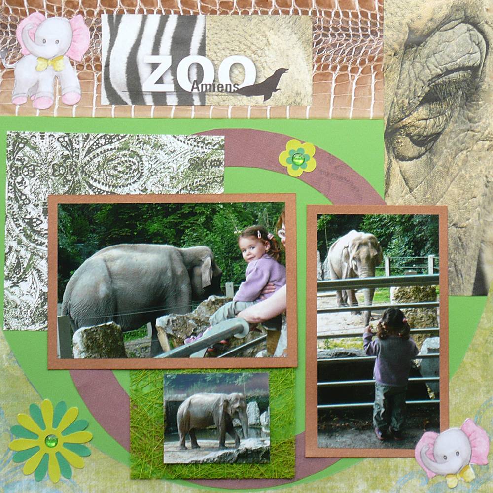 les éléphants au zoo