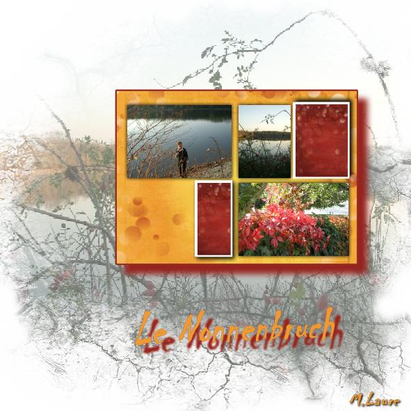 Les Etangs dans la Forêt du Nonnenbruch