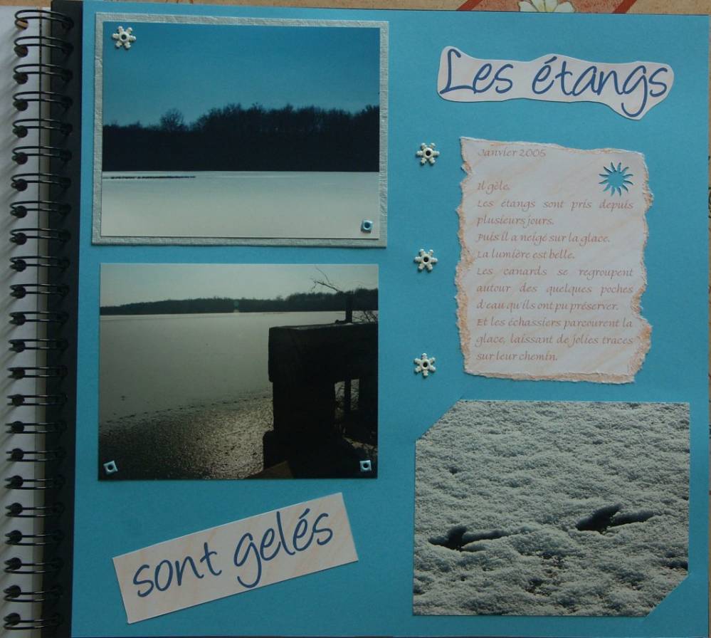 Les étangs sont gelés