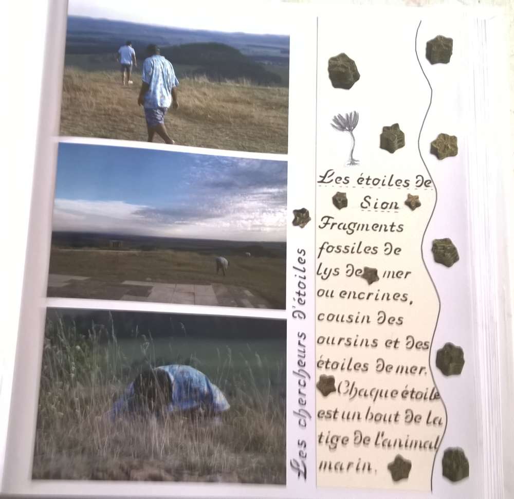 les étoiles de Sion