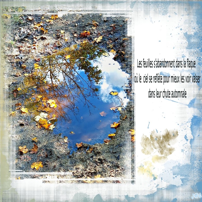 les feuilles s'abandonnent dans la flaque où.jpg