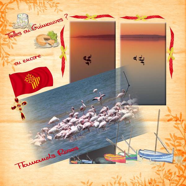 les flamands roses à Montpellier