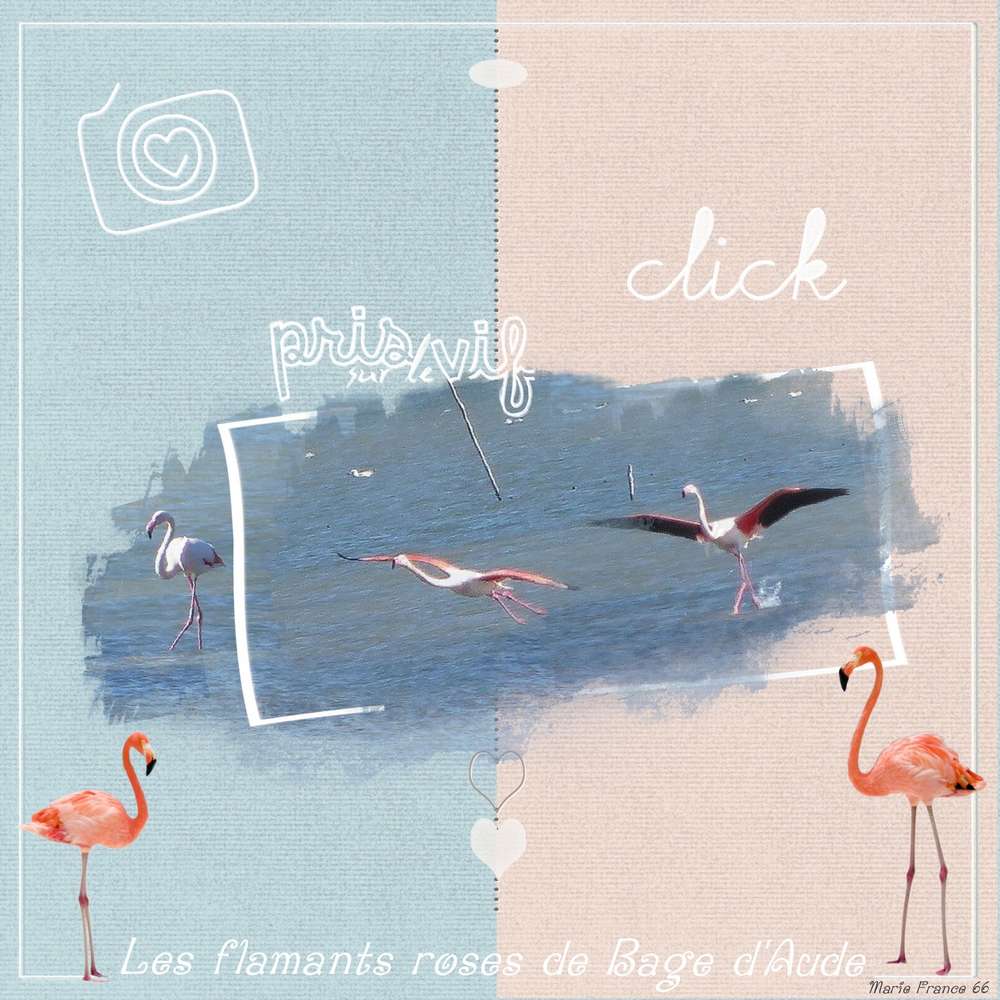 LES FLAMANTS ROSES DE BAGE D'AUDE