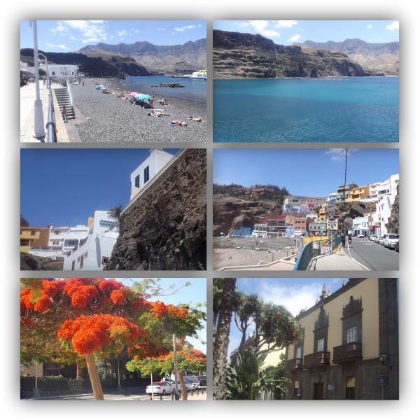 les flambloyans en fleurs