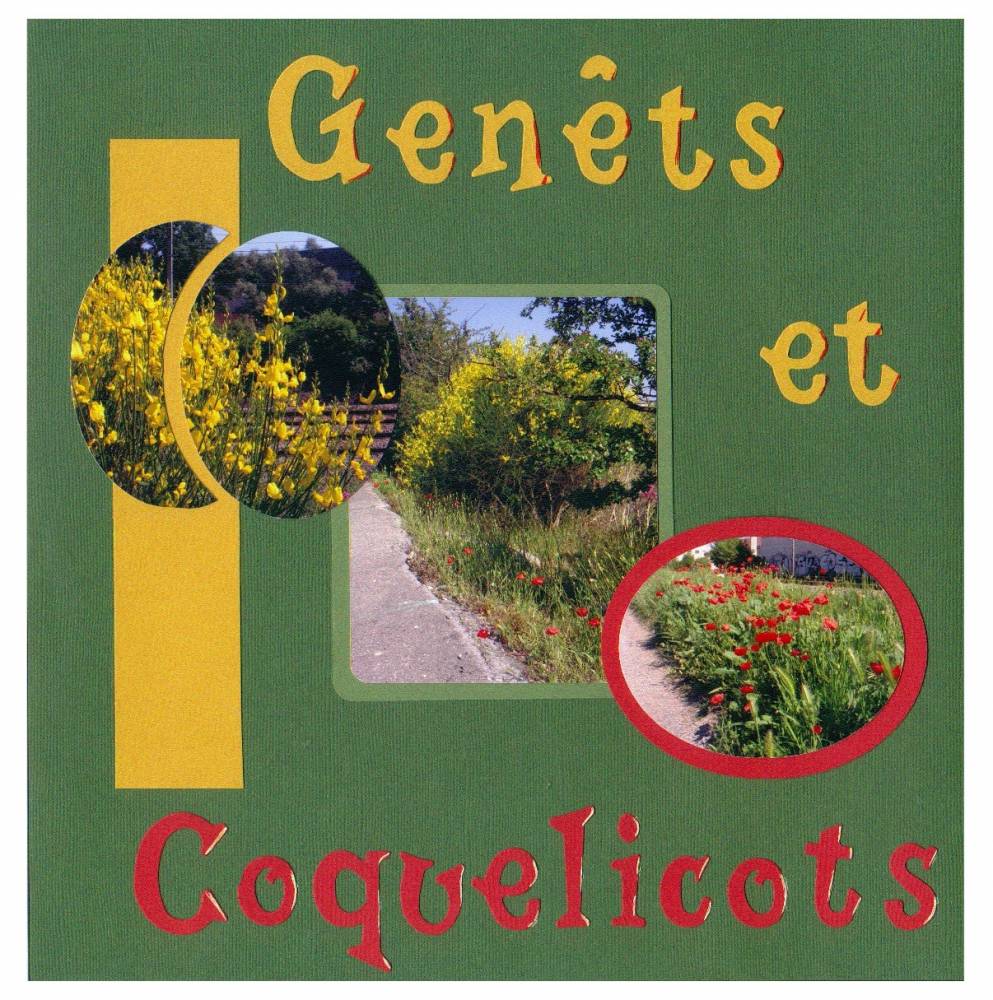 Les fleurs de l'été