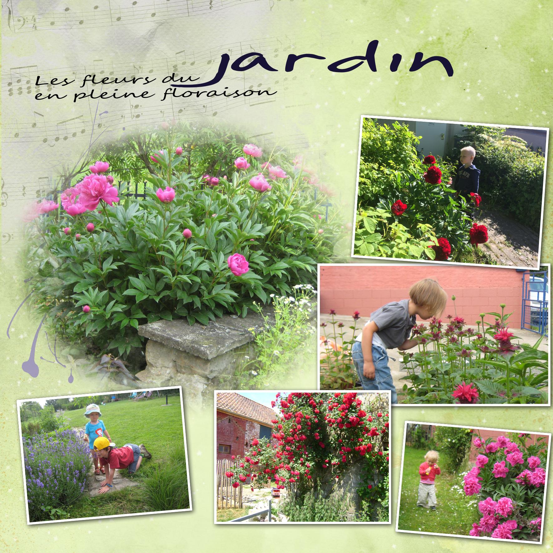les fleurs du jardin.jpg