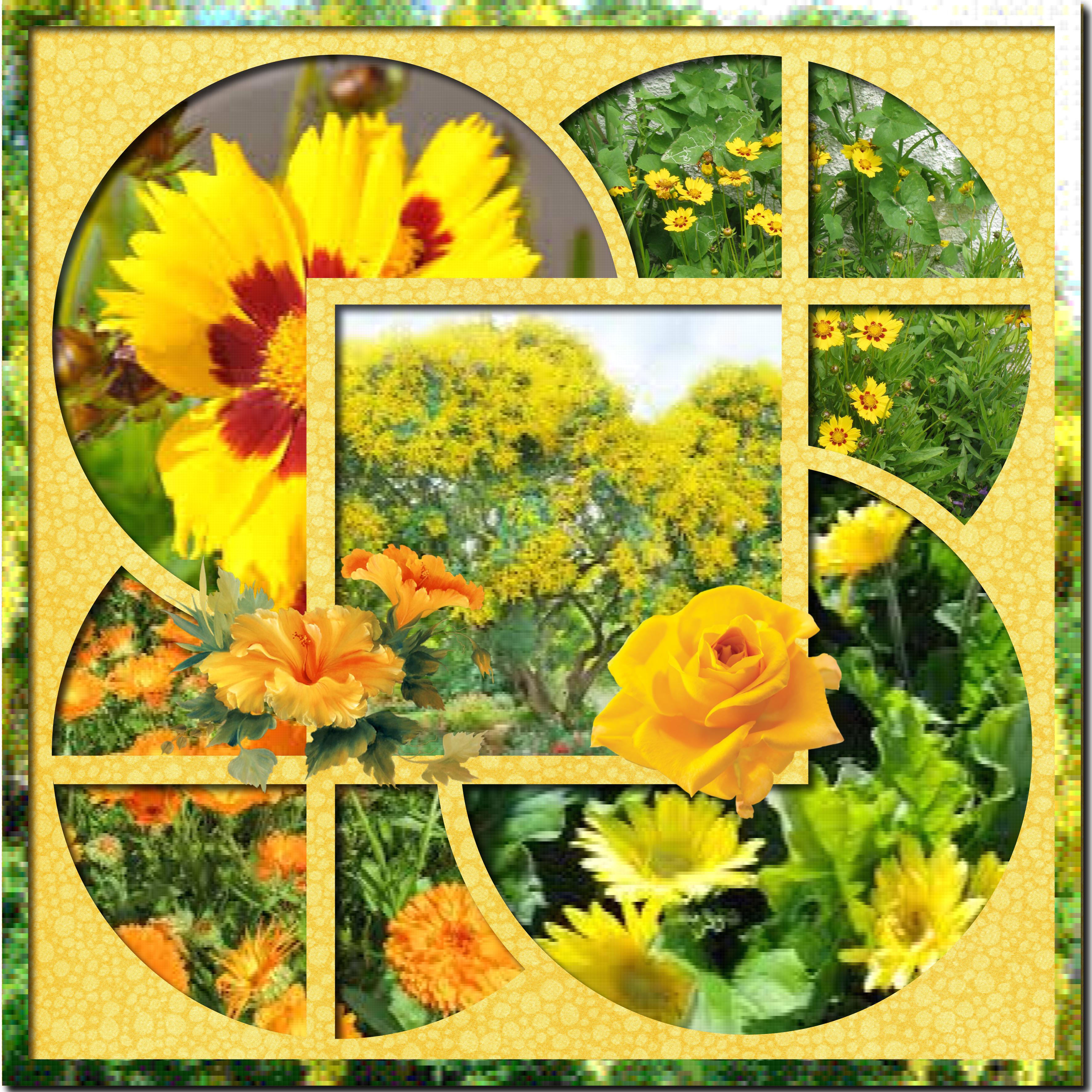 les fleurs en jaune.jpg