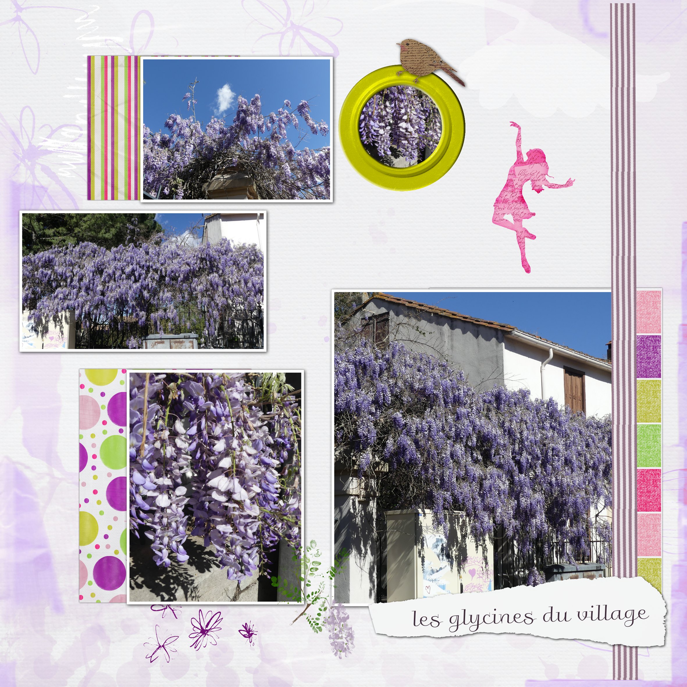 les glycines  journal de printemps .jpg