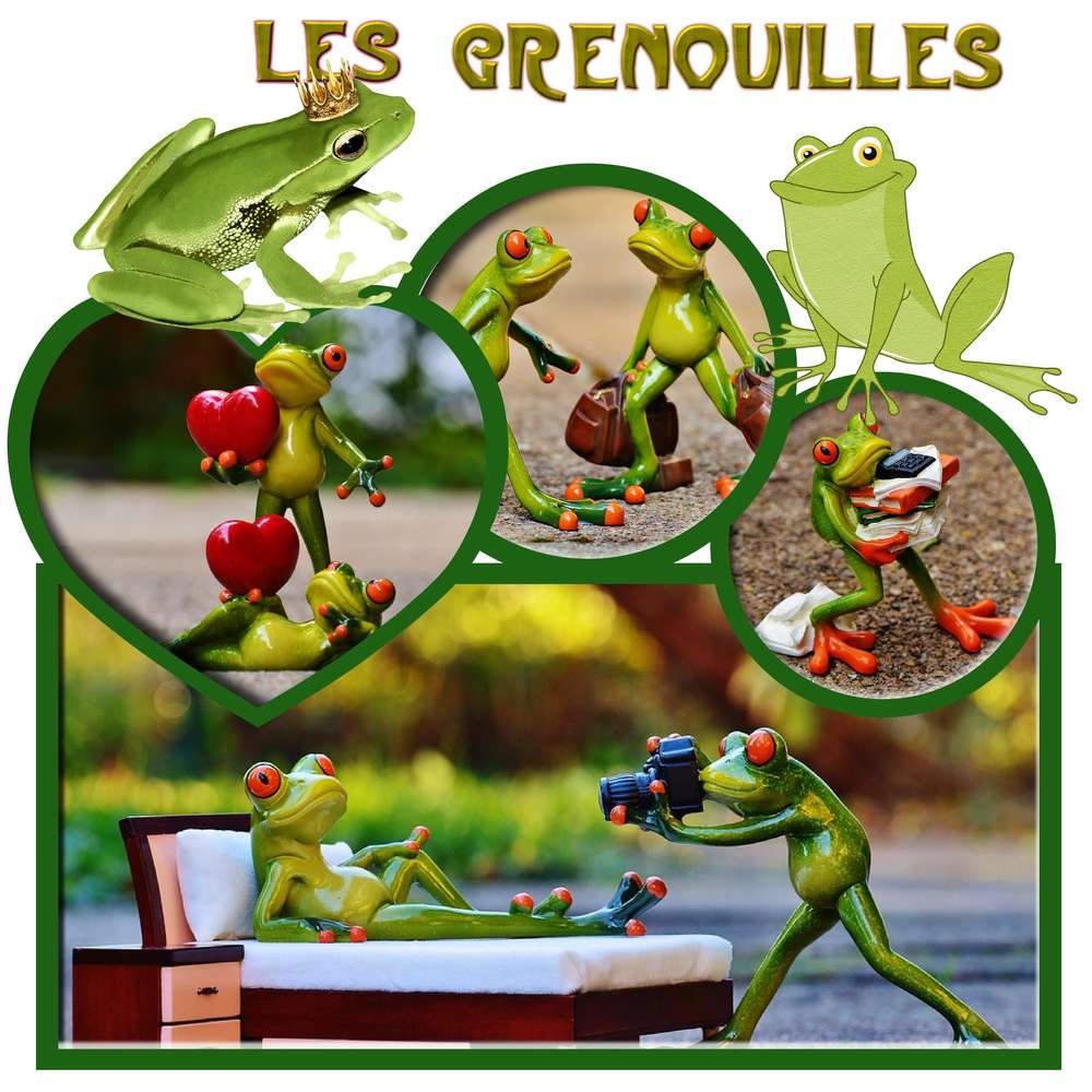 les grenouilles