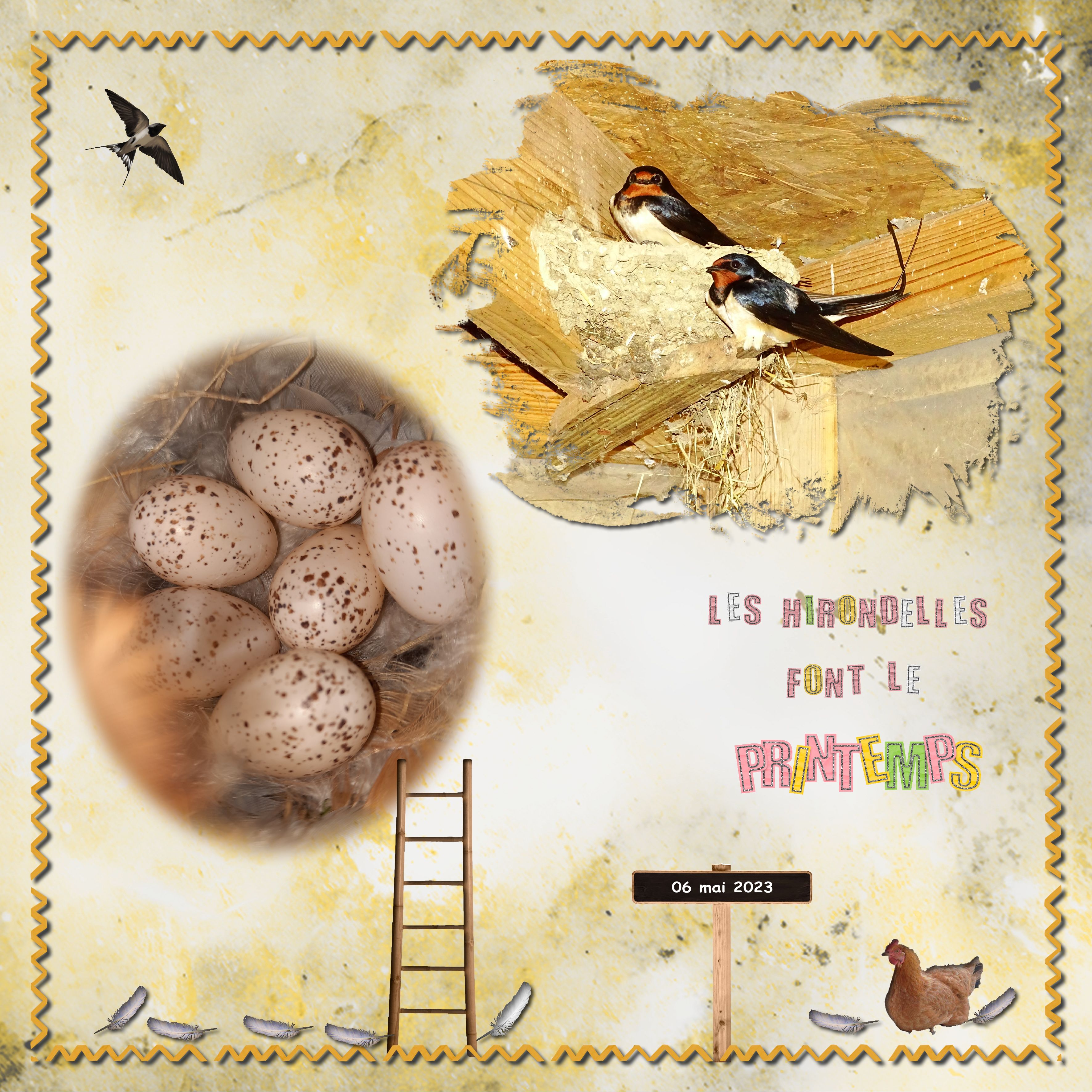 Les Hirondelles 2023 .jpg