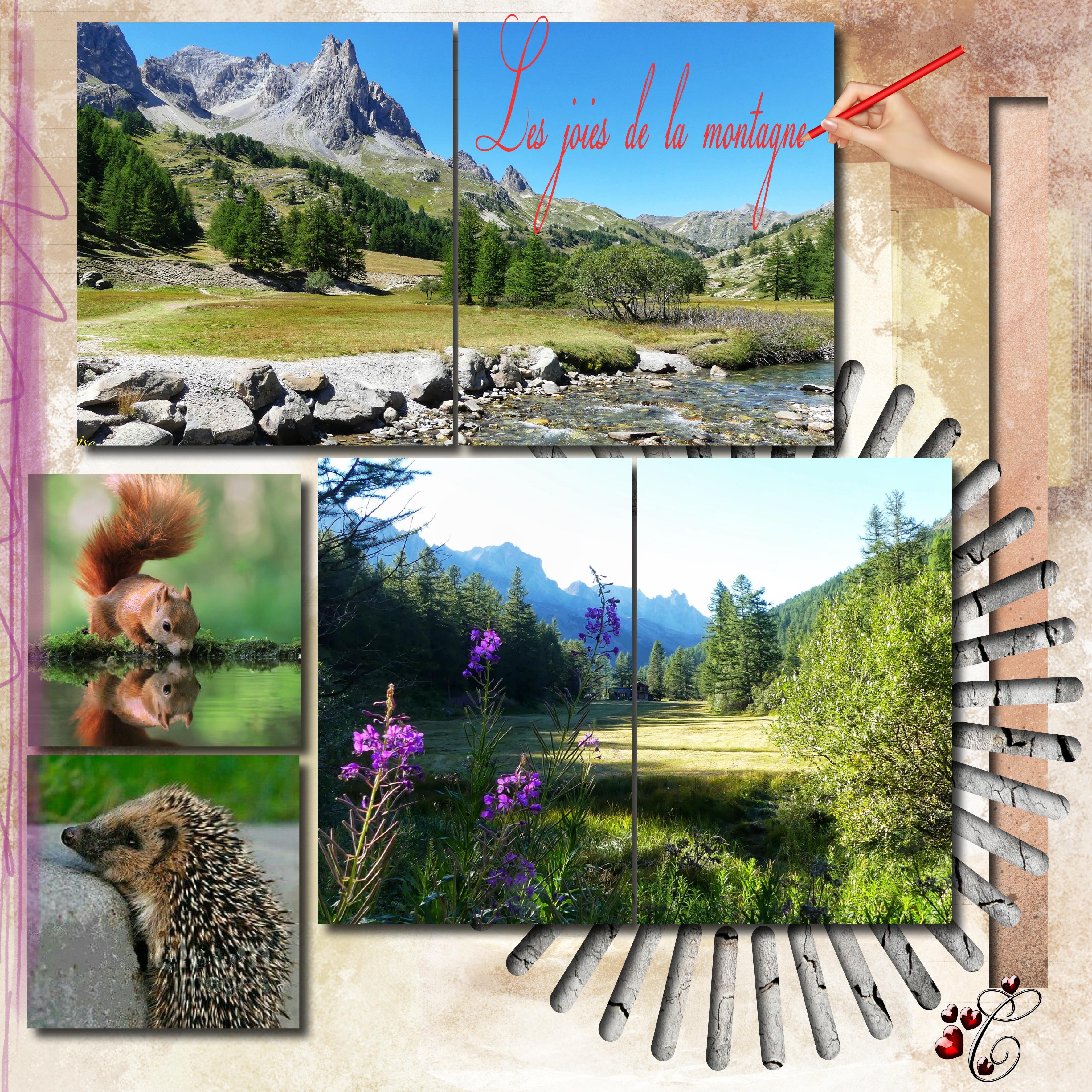 les joies de la montagne.jpg