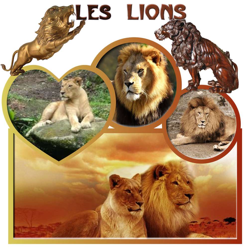 les lions