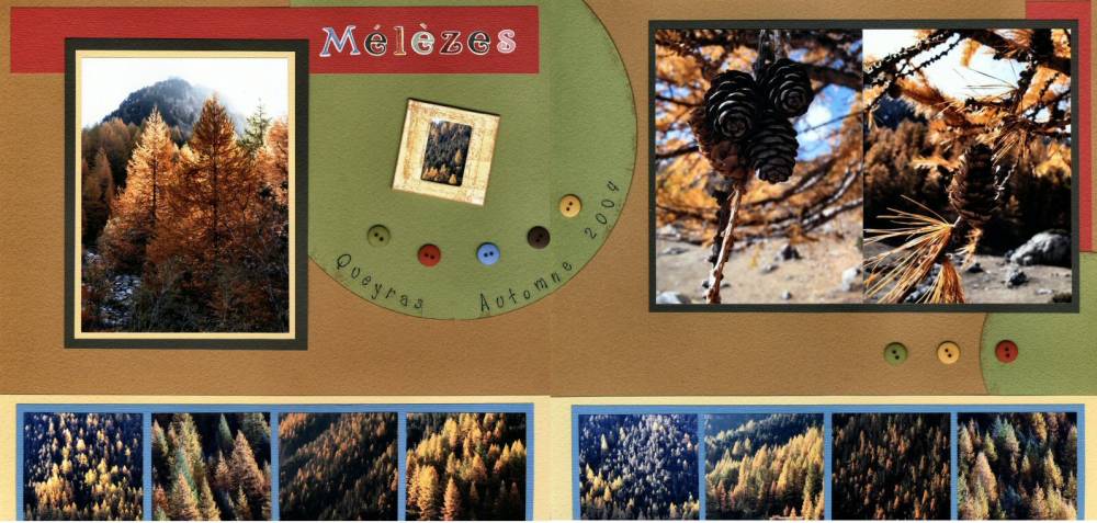 les mélèzes. Pages ensembles