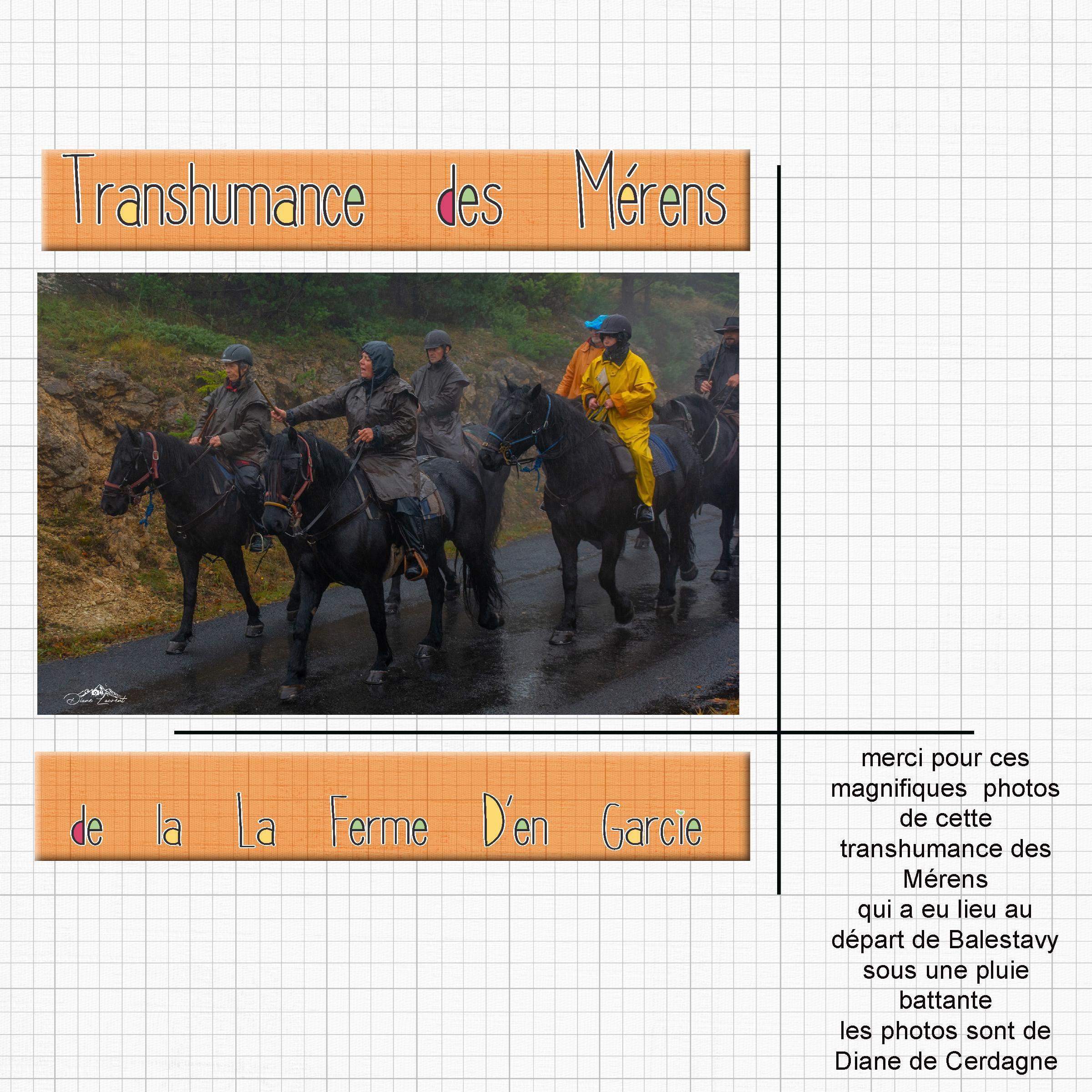 Les Merens transhumance (page 1).jpg