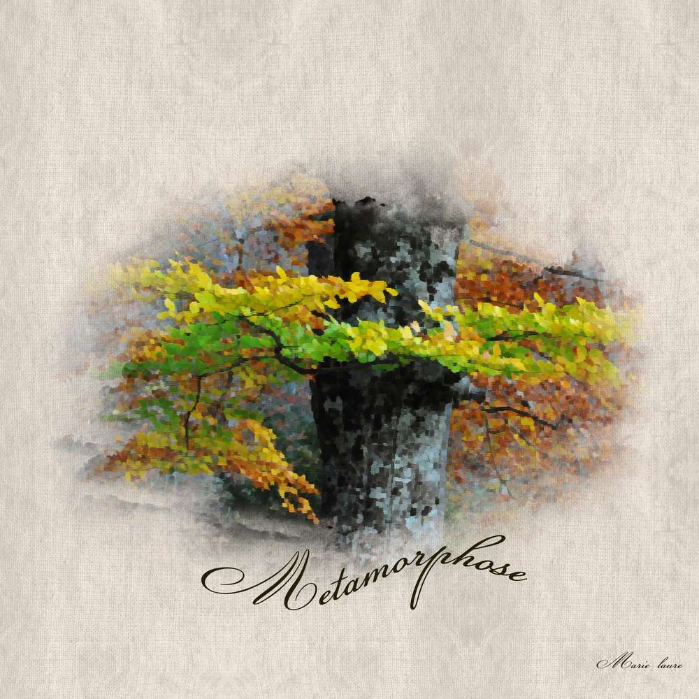 Les miracles de l'automne