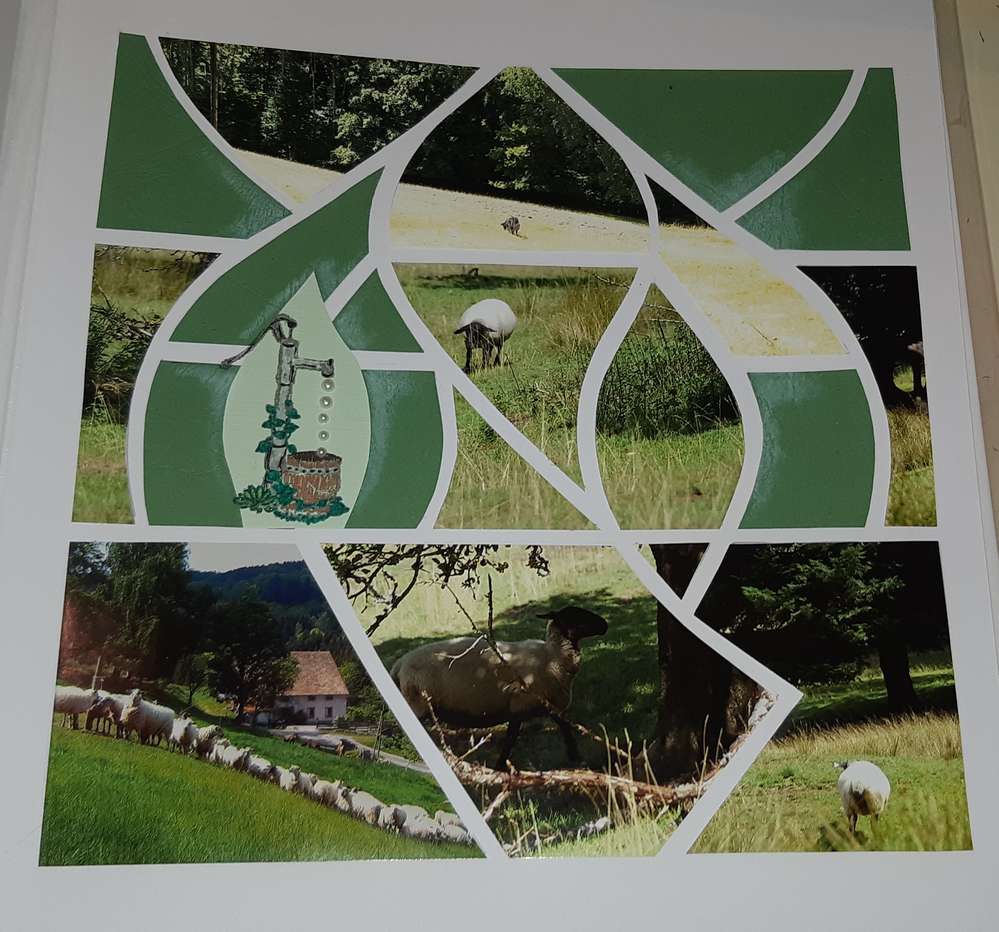 Les moutons de la ferme auberge Les Grands Prés de Plainfaing Vosges