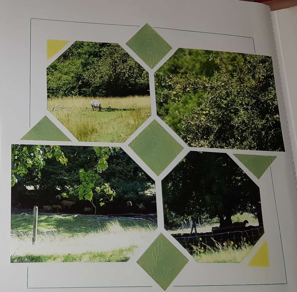 Les moutons des Grands Prés, Plainfaing