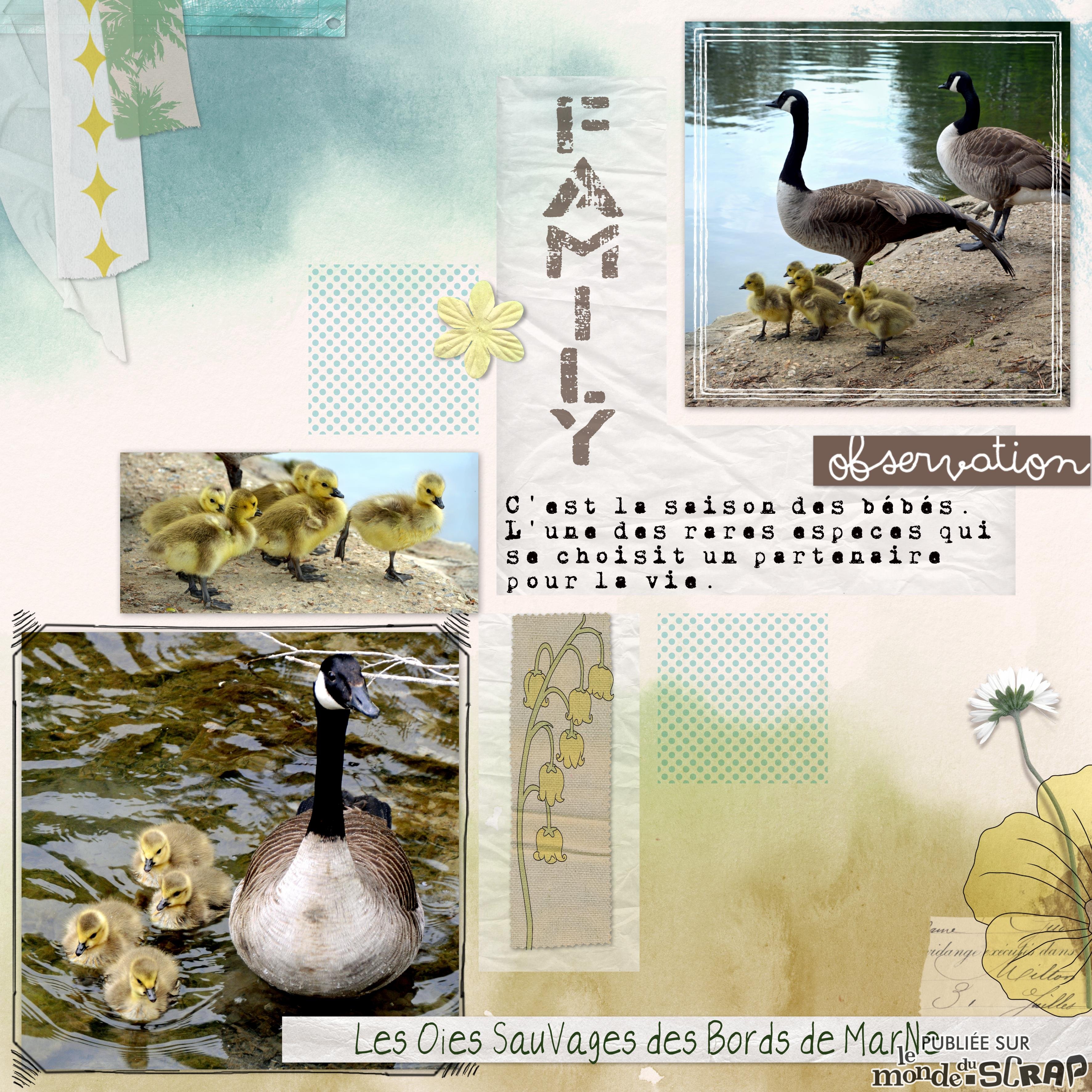 les oies sauvages.jpg