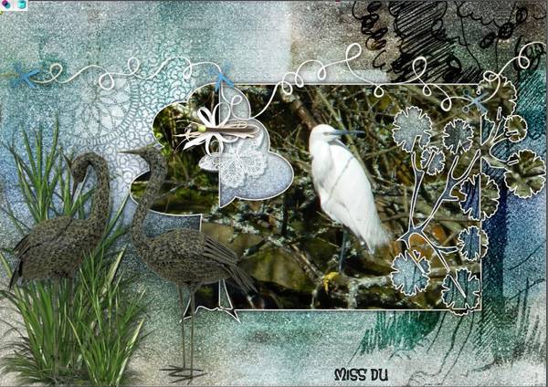 les oiseaux du bord de mer