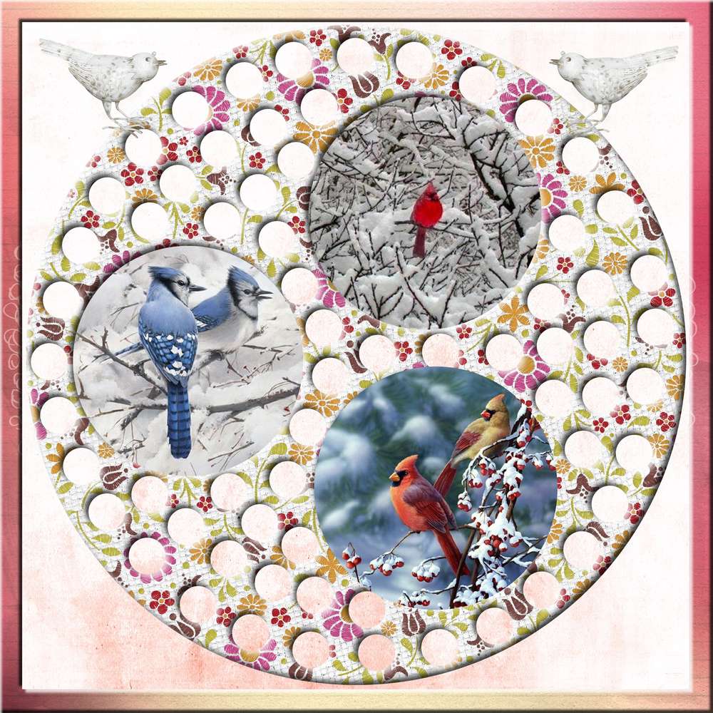 les oiseaux tournent en ron