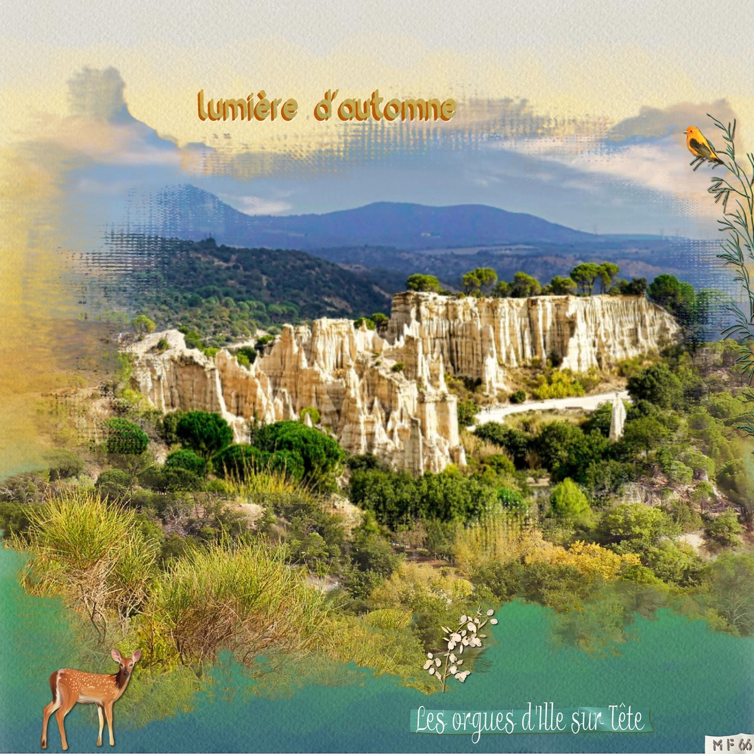 les orgues ille sur tête.jpg