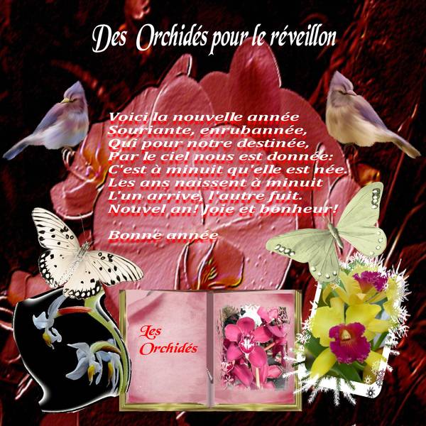 Les orphidés pour  le réveillon