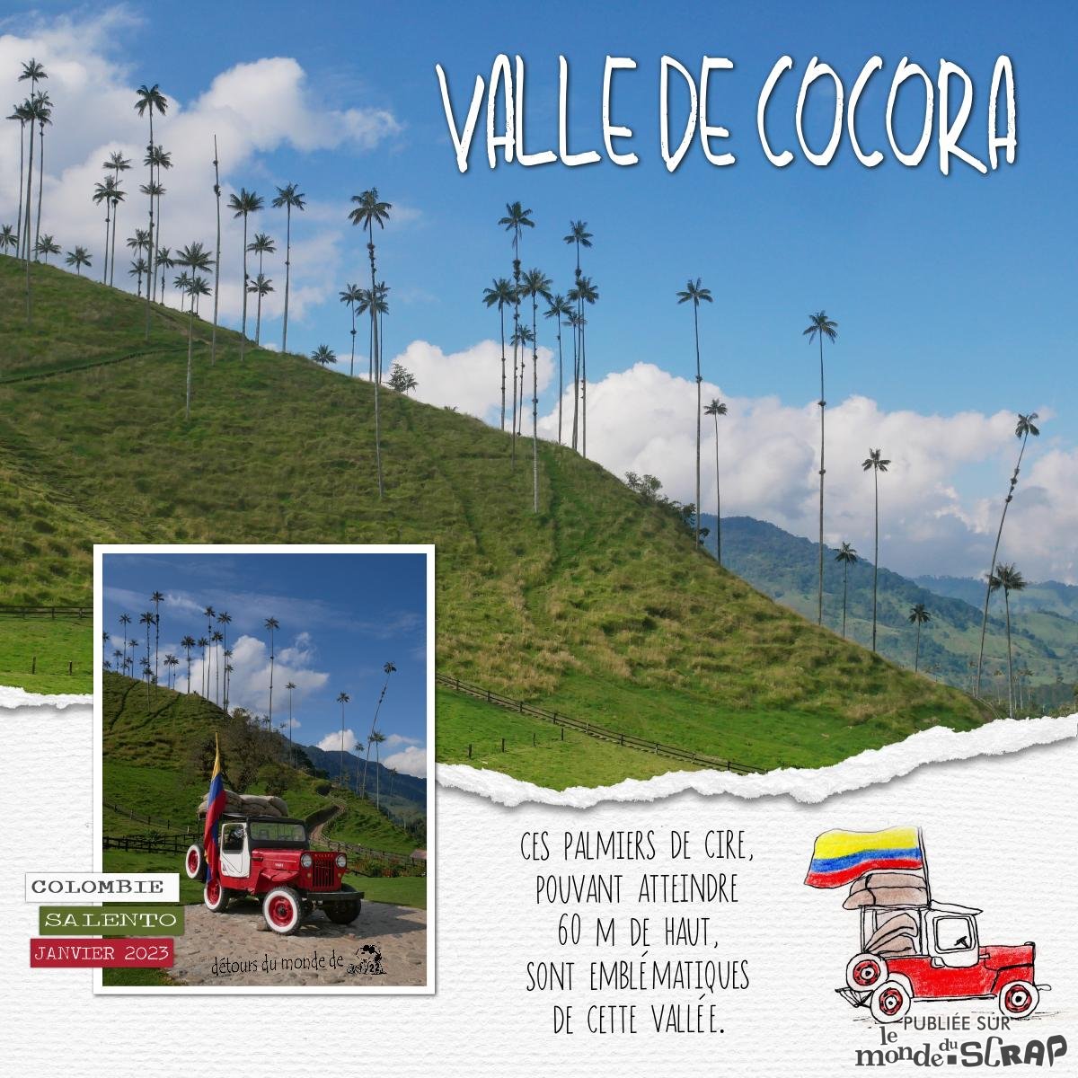 Les palmiers de cire de la Vallée de Cocora