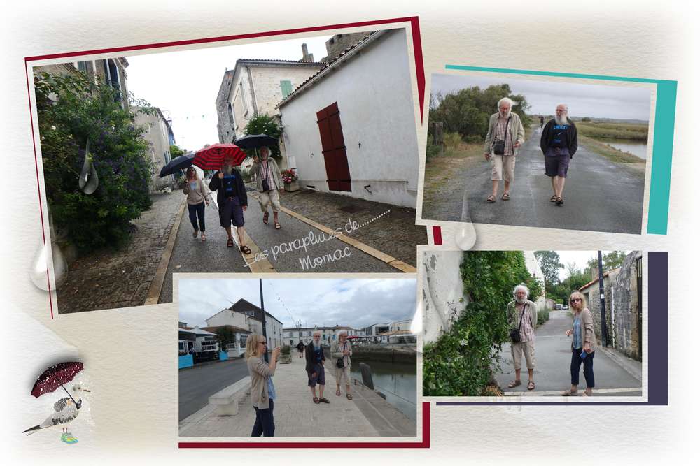 les parapluies de ..........