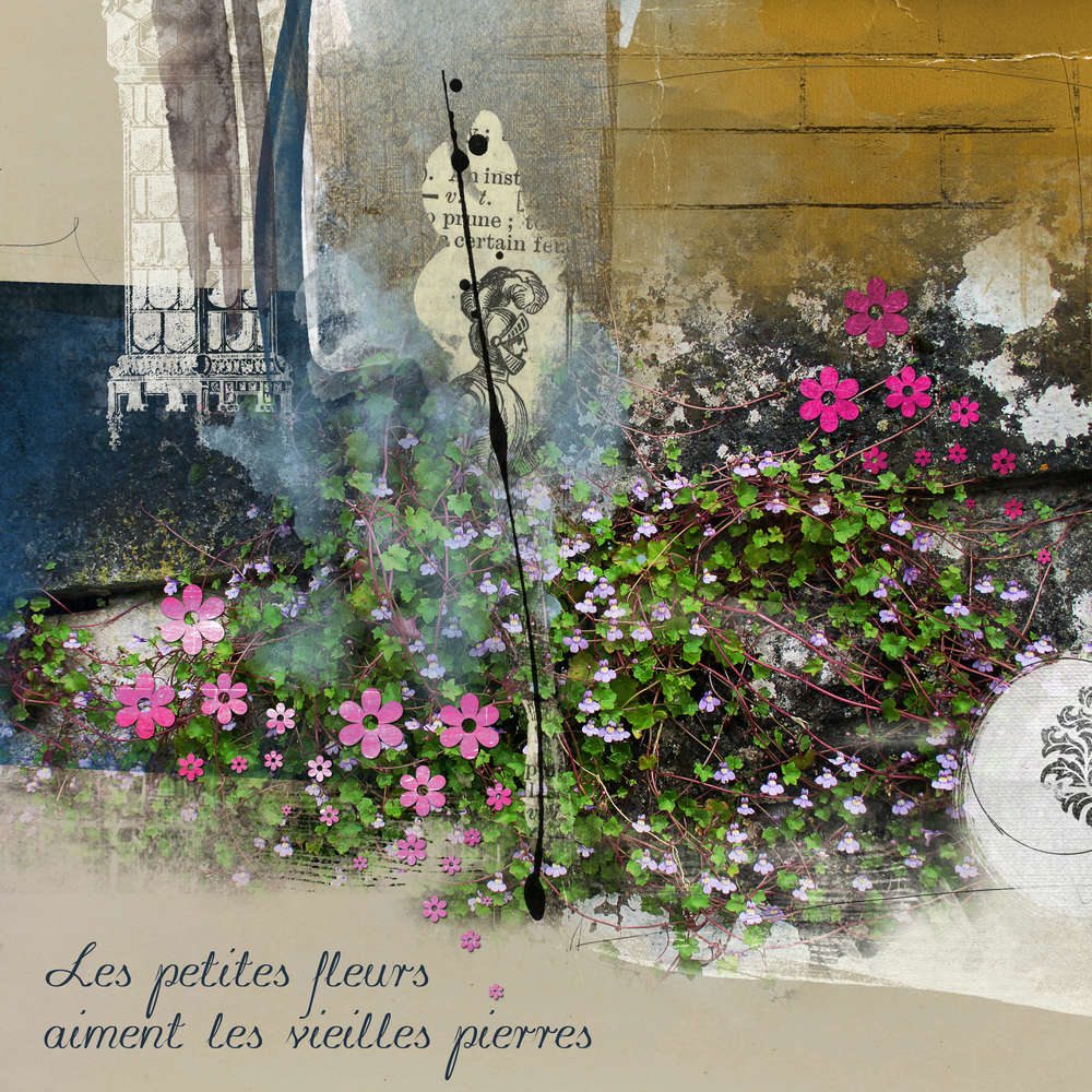 Les petites fleurs aiment les vieilles pierres
