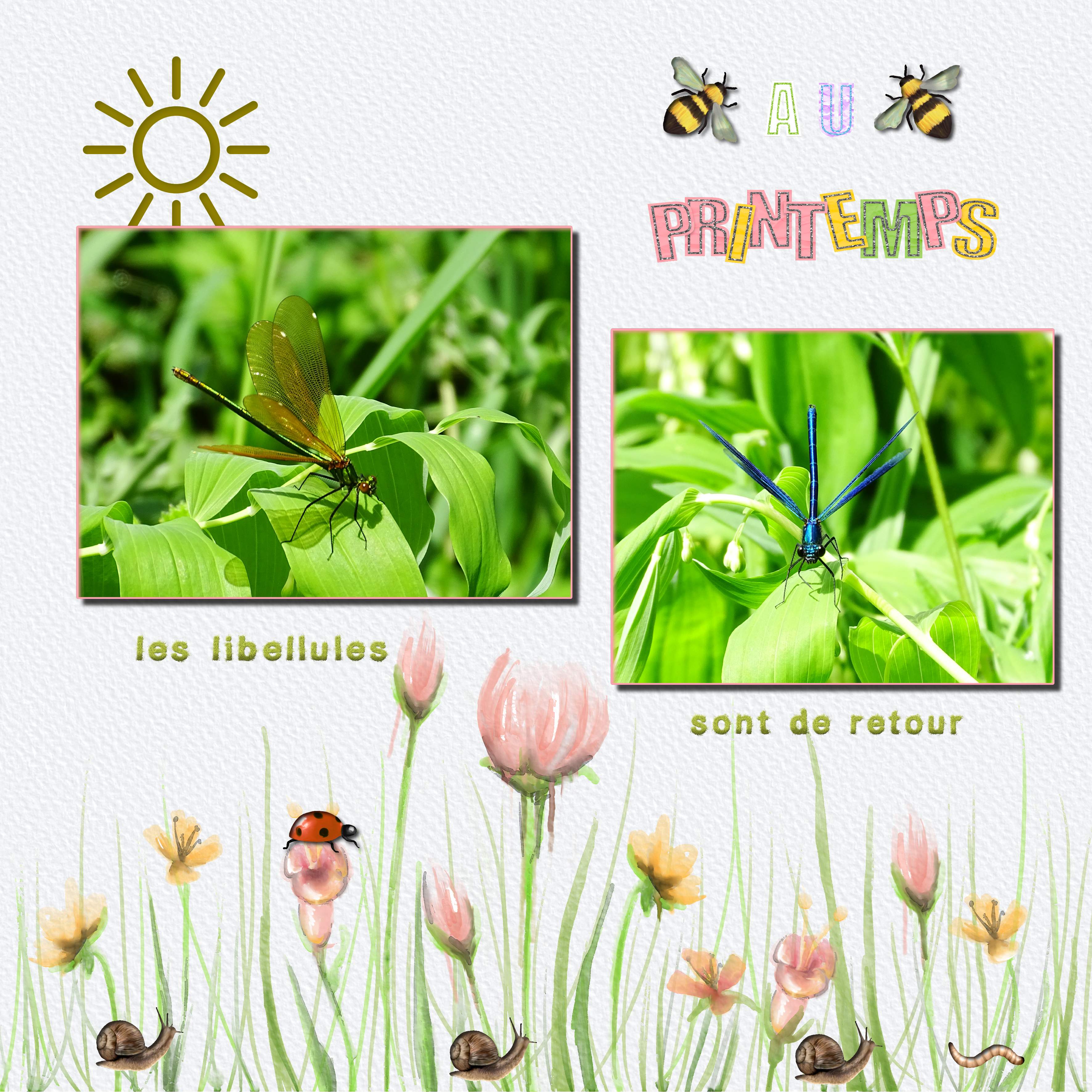 Les Petits Amis du Printemps - mai 2023 .jpg