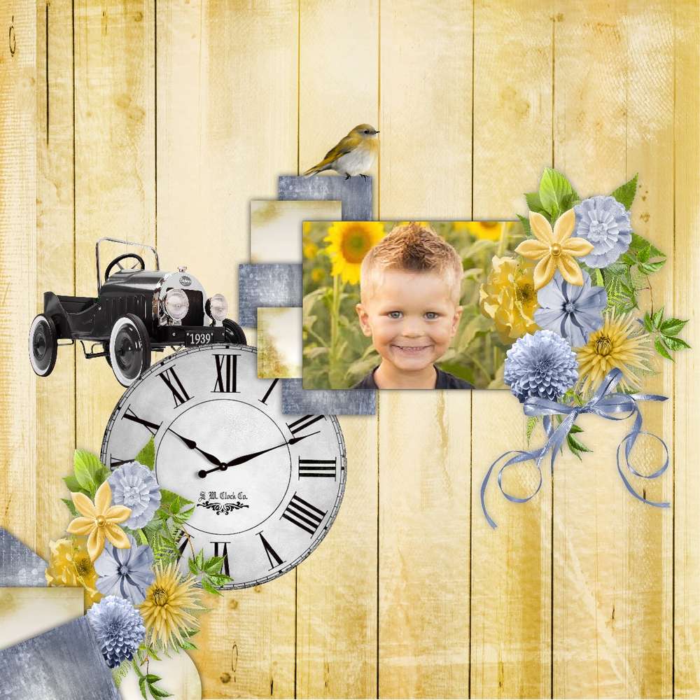 Les petits bolides ...