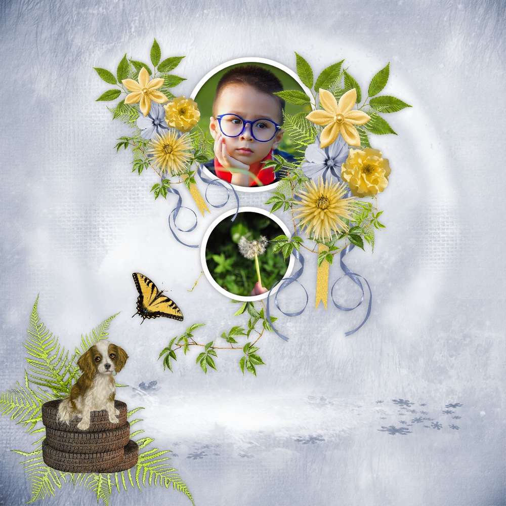 Les petits bolides ...