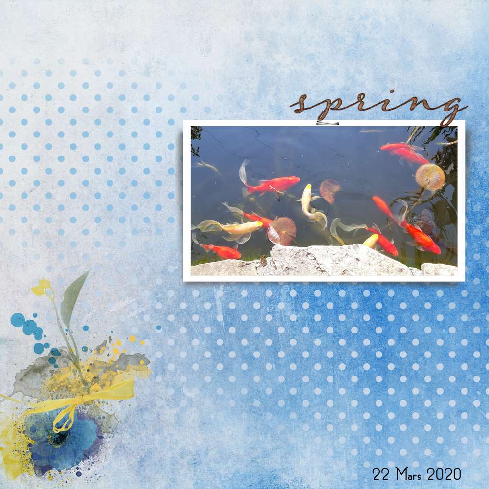 les poissons du bassin sortent de leur léthargie